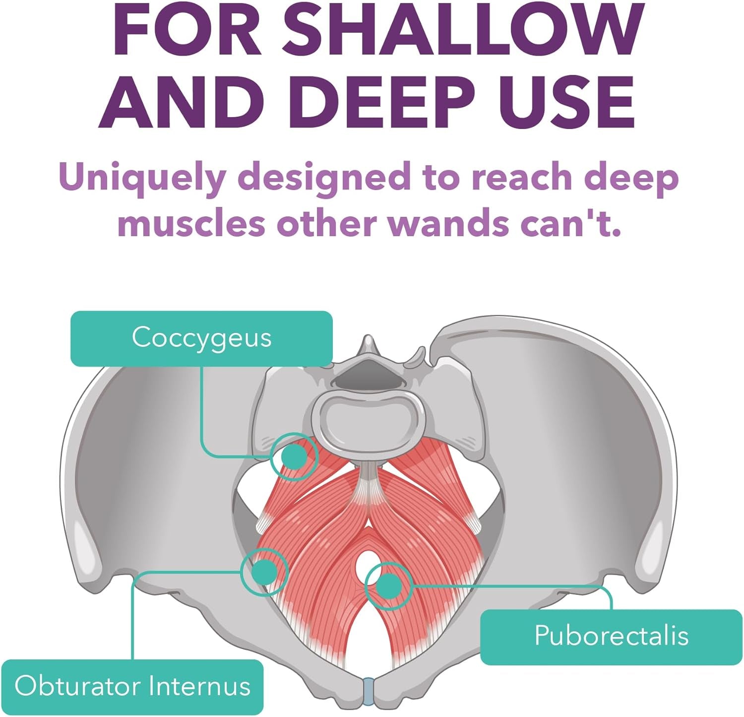 Intimaterose Pelvic Wand with Vibration for Pelvic Muscle Relief - Pelvic Physical Therapy Use for Trigger Point & Tender Point Release for Men & Women
